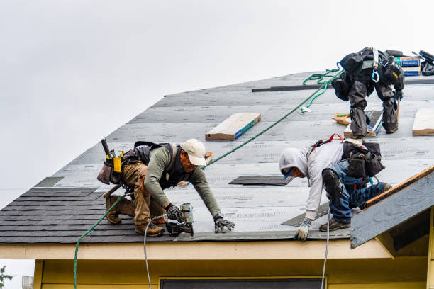 Professional Roofing technician working in Randall, IA